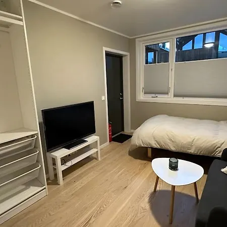 Arctic Aurora I New In 2023 Tromsø