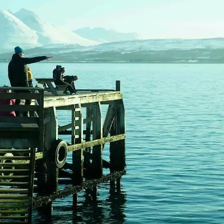 Arctic Aurora I New In 2023 * Тромсё