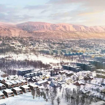 Arctic Aurora I New In 2023 트롬쇠